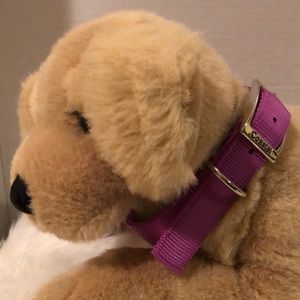 Coastal 24” Purple Dog Collar/NWT